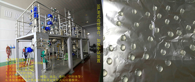 祝賀國內首套釜式連續(xù)加氫中試成套裝置一次出料成功！.jpg