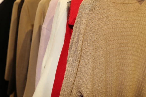 &ldquo;絲駝&rdquo;又一鐘情于駝絨產(chǎn)業(yè)的企業(yè)，綻放2023intertextile
