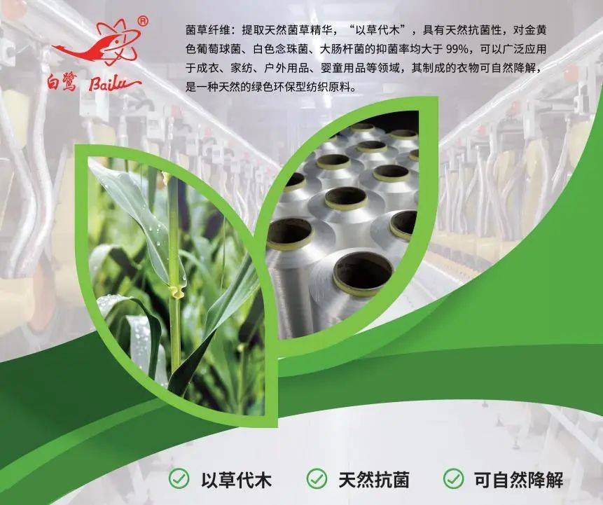 以草代木、天然抗菌、可自然降解，新鄉(xiāng)化纖開創(chuàng)新的&ldquo;傳奇&rdquo;&mdash;&mdash;菌草纖維 