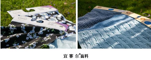 詮釋竹風雅韻，&ldquo;纖&rdquo;動綠色風尚！絲麗雅系列產(chǎn)品品牌即將于柯橋發(fā)布